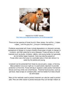 Adapted from NJDEP website http://www.nj.gov/dep/fgw/speciesinfo_fox.htm#management There are two species of foxes found in New Jersey: the red fox (_Vulpes vulpes_) and the gray fox (_Urocyon cinereoargenteus_). Problem