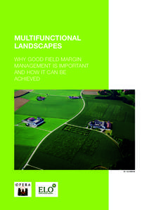 MULTIFUNCTIONAL LANDSCAPES WHY GOOD FIELD MARGIN MANAGEMENT IS IMPORTANT AND HOW IT CAN BE ACHIEVED