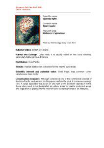 Singapore Red Data Book 2008 Fauna : Molluscs _____________________________________________________________________________