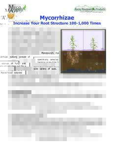 Mycorrhizae Increase Your Root Structure 100-1,000 Times MycoApply’s mycorrhizal options consist of specifically selected species of fungi and bacteria in multiple formulations designed for a wide variety of uses. Myco
