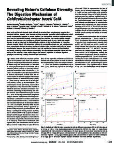 REPORTS  Revealing Nature’s Cellulase Diversity: The Digestion Mechanism of Caldicellulosiruptor bescii CelA Roman Brunecky,1 Markus Alahuhta,1 Qi Xu,1 Bryon S. Donohoe,1 Michael F. Crowley,1