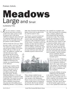 Feature Article  Meadows Large and