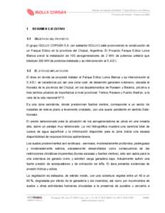 Estudio de Impacto Ambiental · Parque Eólico Loma Blanca Provincia del Chubut · Octubre de 2009