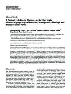 5-Aminolevulinic Acid Fluorescence in High Grade Glioma Surgery: Surgical Outcome, Intraoperative Findings, and Fluorescence Patterns