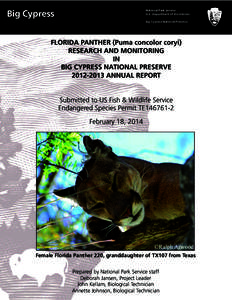 The role of Big Cypress National Preserve (Big Cypress) in Florida panther recovery has evolved as research has replaced speculation