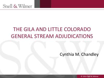 THE GILA AND LITTLE COLORADO GENERAL STREAM ADJUDICATIONS Cynthia M. Chandley 1
