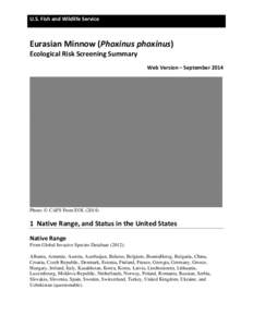 U.S. Fish and Wildlife Service  Eurasian Minnow (Phoxinus phoxinus) Ecological Risk Screening Summary  Web Version – September 2014