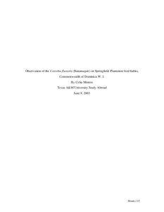 Observation of the Coereba flaveola (Bananaquit) on Springfield Plantation feed habits, Commonwealth of Dominica W. I. By Celia Montes