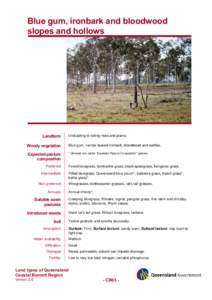 Microsoft Word - CB03_Blue gum, ironbark & bloodwood slopes & hollows.doc