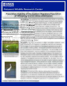 Patuxent Wildlife Research Center Population Viability of the Eastern Migratory Population of Whooping Cranes (Grus americana) The Challenge: The Whooping Crane Eastern Partnership (WCEP) is a partnership of public and p