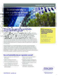 Sustainability Consulting Services  Sustainability is now a critical driver in any enterprise