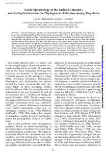 Ankle Morphology of the Earliest Cetaceans and Its Implications for the Phylogenetic Relations among Ungulates