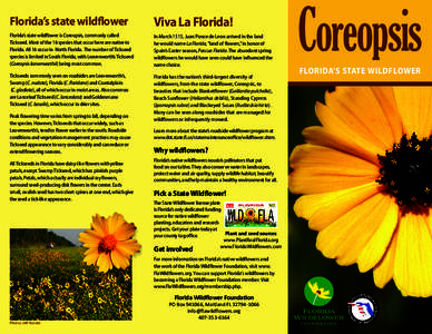 Florida’s state wildflower  Viva La Florida! Florida’s state wildflower is Coreopsis, commonly called Tickseed. Most of the 16 species that occur here are native to