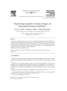 Computational Statistics & Data Analysis – 567 www.elsevier.com/locate/csda Segmenting magnetic resonance images via hierarchical mixture modelling夡 Carey E. Priebe∗ , Michael I. Miller, J. Tilak Ratn