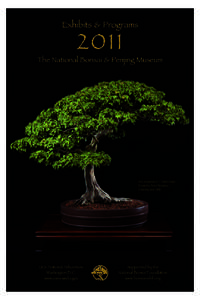 National Bonsai Foundation / Visual arts / John Naka / Deadwood bonsai techniques / Yuji Yoshimura / Penjing / United States National Arboretum / Ikebana / Satsuki azalea / Bonsai / Botany / Landscape architecture