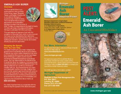 EMERALD ASH BORER Overview The Emerald Ash Borer is an exotic pest from Asia, primarily China, Korea, Japan, Mongolia, Taiwan, and Eastern Russia, and