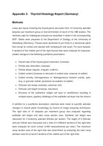 Draft Report of the Validation of the Amphibian Metamorphosis Assay for the Detection of Thyroid Active Substances: Phase 1 - Optimisation of the Test Protocol - Germany Thyroid Histology Report