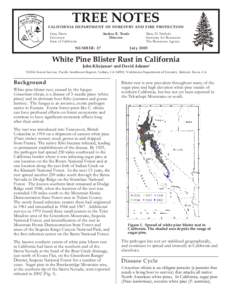 White Pine Blister Rust in Calif.vp