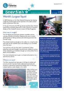 FACTSHEET  15 World’s Largest Squid In 2007 fishermen on the New Zealand fishing boat San Aspiring