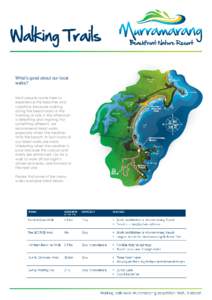 New South Wales / South Coast /  New South Wales / Geography of New South Wales / States and territories of Australia / South Durras /  New South Wales