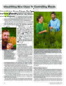 Unearthing New Clues To Controlling Weeds PEGGY GREB (D477-1) eeds are notorious for muscling aside crop plants for water, sunlight, nutrients, and space. But how do weeds get the jump on crops as seed lying dormant