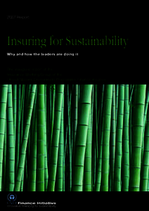 2007 Report  Insuring for Sustainability Why and how the leaders are doing it  The inaugural report of the