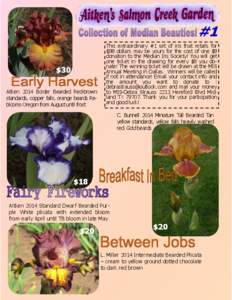 #1 $30 Aitken 2014 Border Bearded Red-brown standards, copper falls, orange beards Reblooms Oregon from August until frost  This extraordinary #1 set of iris that retails for