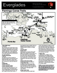 Flamingo /  Florida / Everglades National Park / Tropical hardwood hammock / Ocala National Forest / Geography and ecology of the Everglades / Florida / Everglades / Geography of the United States