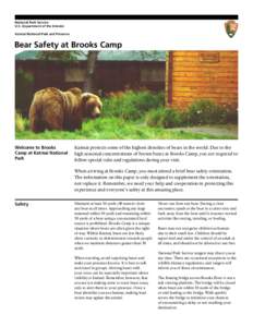 National Park Service U.S. Department of the Interior Katmai National Park and Preserve Bear Safety at Brooks Camp