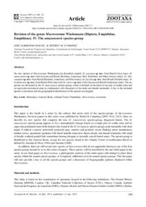 Revision of the genus Macrostomus Wiedemann (Diptera, Empididae, Empidinae). IV. The amazonensis species-group