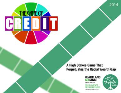 Illinois Asset Building Group (IABG)  Acknowledgements We gratefully acknowledge the Ford Foundation and the Woods Fund of Chicago whose generous support made this report possible. We would also like to thank Ricki Lowi