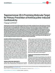 Topoisomerase 2β: A Promising Molecular Target for Primary Prevention of Anthracycline-Induced Cardiotoxicity