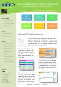 Internes Kontrollsystem / Risikomanagement Standardsoftware, web- und datenbankbasiert Schlank, einfach, effizient.  DiPP Software