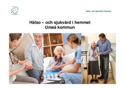 Microsoft PowerPoint - Hälso- och sjukvård i hemmet