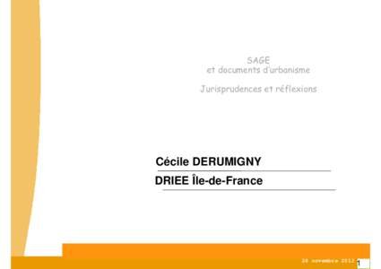 SAGE et documents d’urbanisme Jurisprudences et réflexions Cécile DERUMIGNY DRIEE Île-de-France
