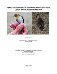 Status of 10 Bird Species of Conservation Concern in U.S. Fish & Wildlife Service Region 6