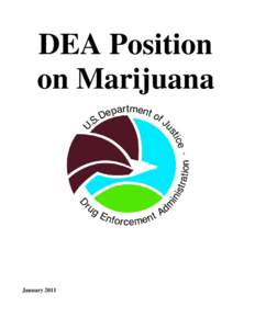 Microsoft Word - DEA_Position_January_2011.docx