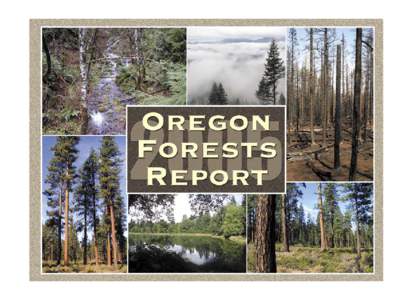 Oregon Board of Forestry / United States Forest Service / Sustainable forest management / Oregon Department of Forestry / Forest / Oregon / Sun Pass State Forest / Forestry Commission / Forestry / Environment / Land management