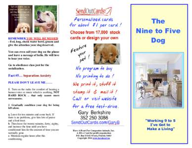The Nine to Five Dog REMEMBER YOU WILL BE MISSED - Fed, hug, check water bowl, groom and