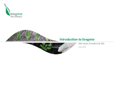 Agronomy / Evogene / Rehovot / Forward-looking statement / Big data / Monsanto / Agriculture / Biotechnology / Plant breeding / Bioinformatics / Productivity improving technologies
