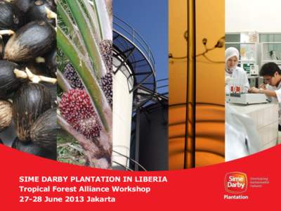 SIME DARBY PLANTATION IN LIBERIA Tropical Forest Alliance Workshop[removed]June 2013 Jakarta CONTENTS •