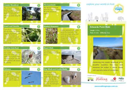 Geography of Australia / Halophytes / Boardwalk / Edwards Point / Glasswort / Port Phillip / States and territories of Australia / Transport