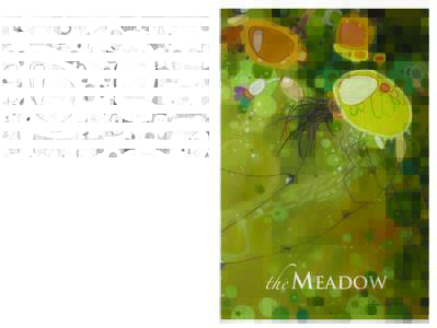 The Meadow 2010 Literary and Art Journal