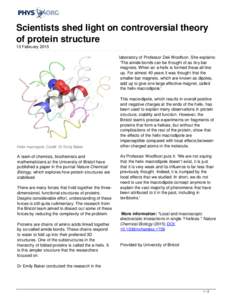 Scientists shed light on controversial theory of protein structure
