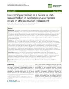 Overcoming restriction as a barrier to DNA transformation in Caldicellulosiruptor species results in efficient marker replacement