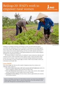 United Nations Development Group / International development / Sociology / International Fund for Agricultural Development / Gender mainstreaming / Empowerment / IFAD Vietnam / Poverty / United Nations / Development