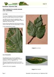 Leaf miner / Humulus lupulus / Biology / Botany / Lyonetiidae / Lyonetia / Pyracantha