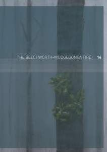 THE BEECHWORTH–MUDGEGONGA FIRE  14 Volume I: The Fires and the Fire-Related Deaths
