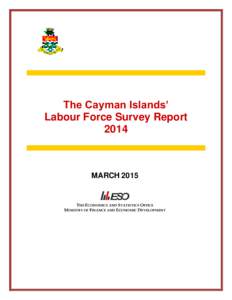 2009 LABOUR FORCE SURVEY REPORT