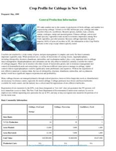 Crop Profile for Cabbage in New York Prepared: May, 1999 General Production Information NY ranks number one in the country in production of fresh cabbage, and number two in processing cabbage. Valued at over $62 million 